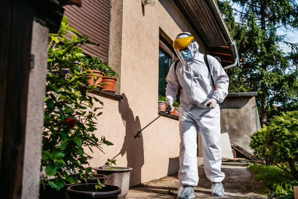 Professional Pest Control in North Wantagh, NY